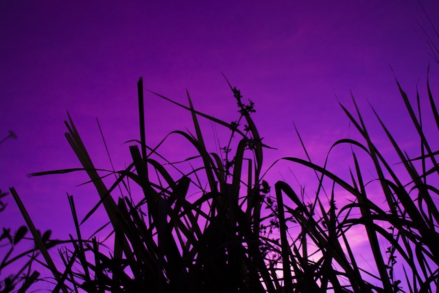 Обои 2026-03-27 №81800