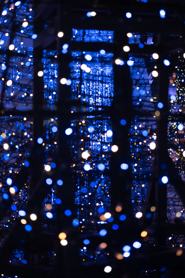 Обои 2026-03-27 №81827