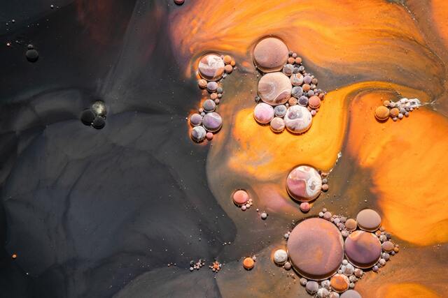 Обои 2026-03-28 №81845