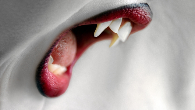 Обои 2026-03-29 №81885