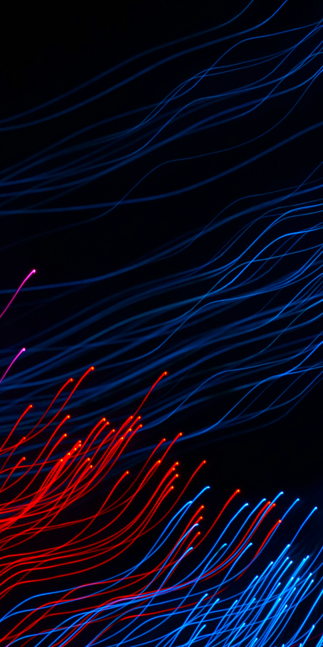 Обои 2026-03-29 №81886