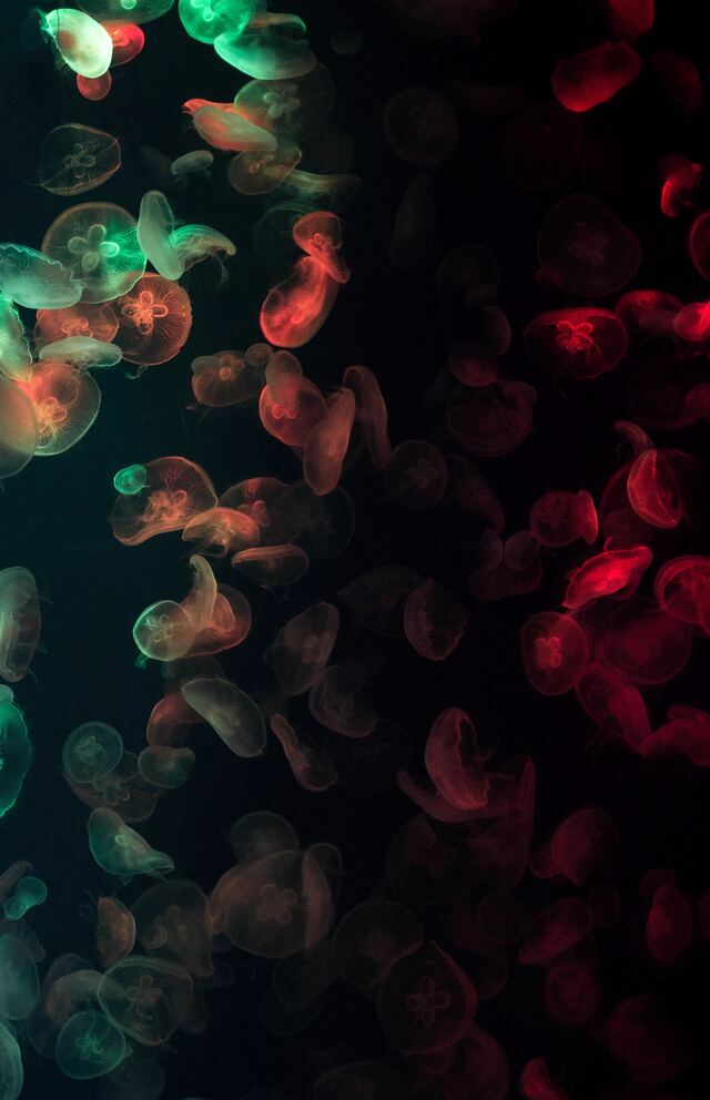 Обои 2026-03-29 №81892