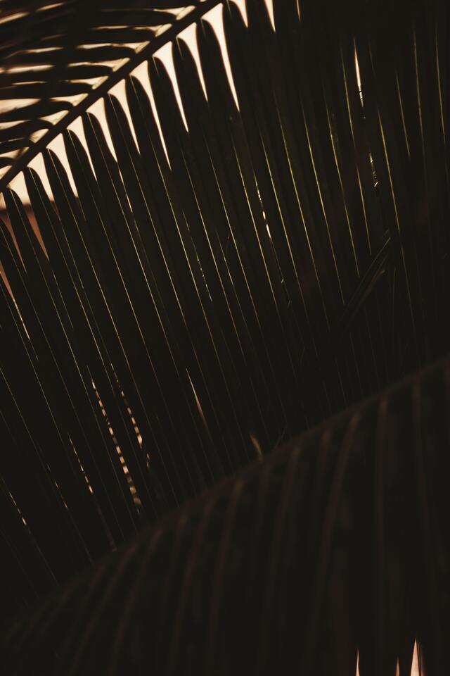 Обои 2026-03-31 №81998