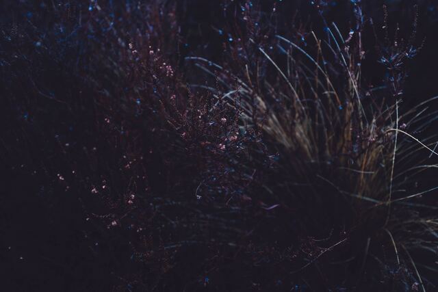 Обои 2026-03-31 №81997