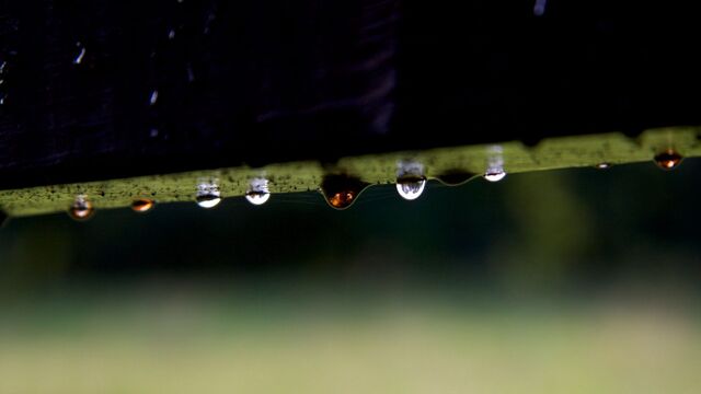 Обои 2026-04-02 №82070