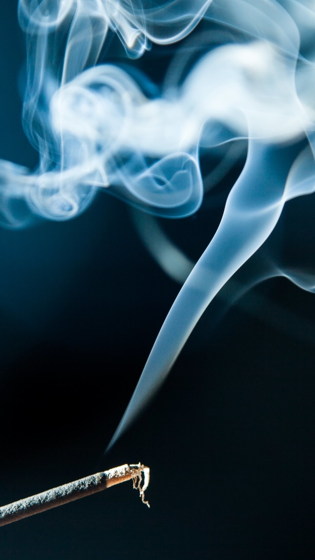 Обои 2026-04-04 №82163