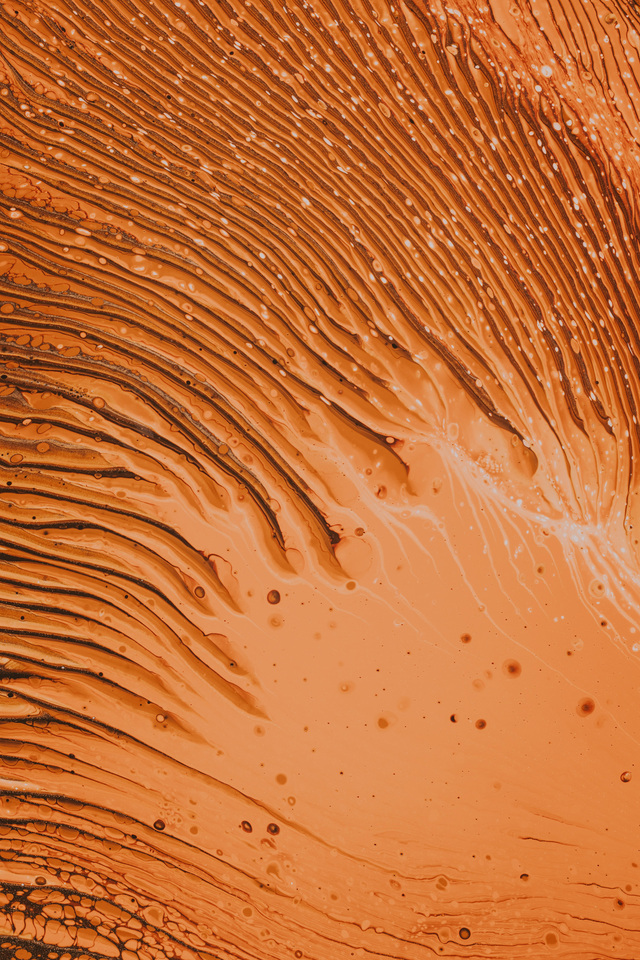 Обои 2026-04-04 №82171