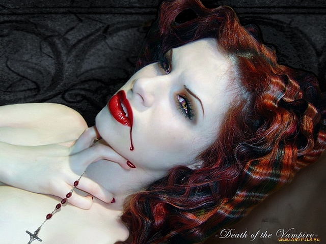 Обои 2026-04-08 №82357