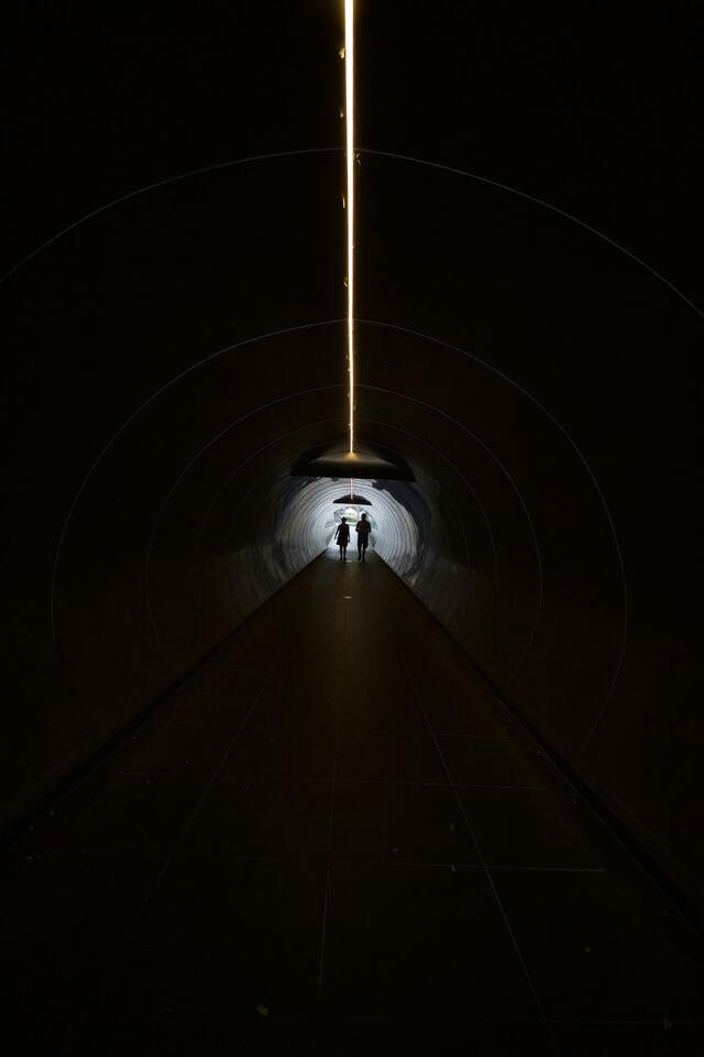 Обои 2026-04-09 №82372