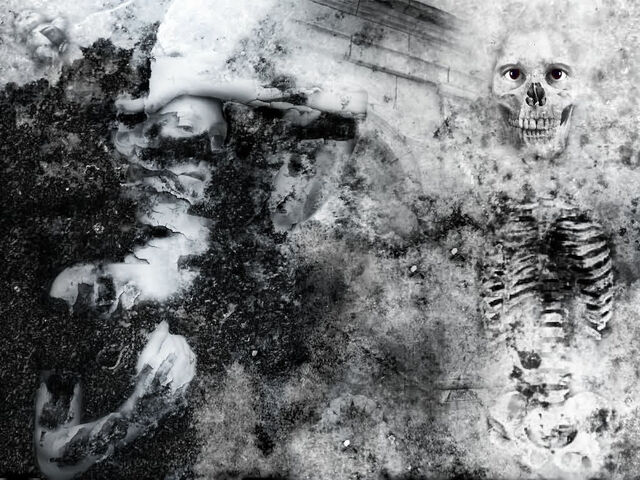 Обои 2026-04-09 №82405