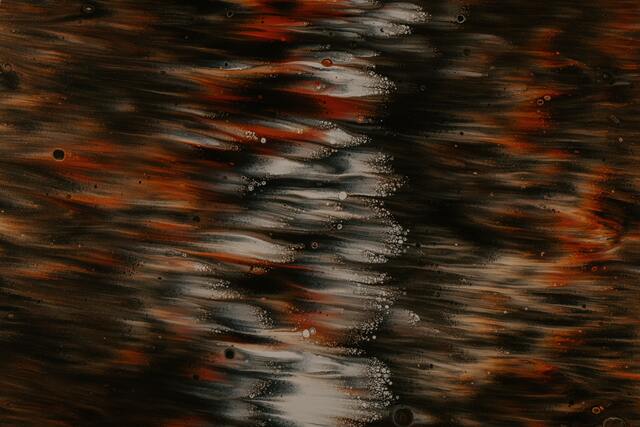 Обои 2026-04-11 №82456