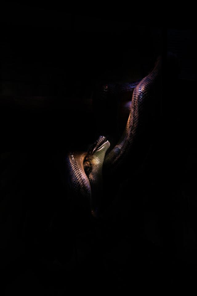 Обои 2026-04-11 №82470