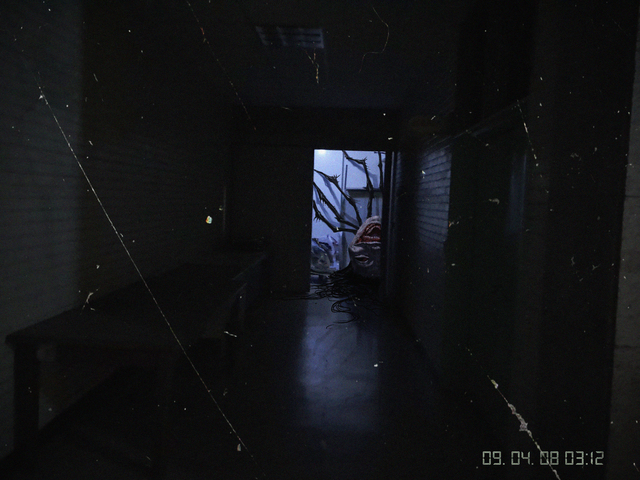 Обои 2026-04-11 №82488