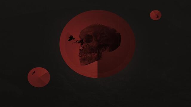 Обои 2026-04-13 №82561