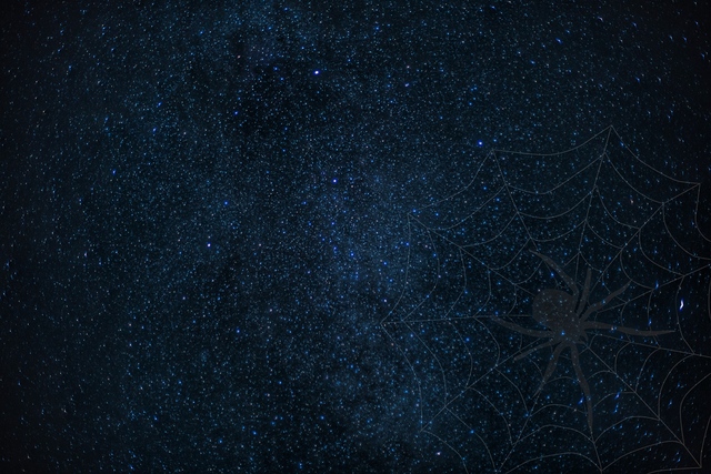 Обои 2026-04-14 №82616