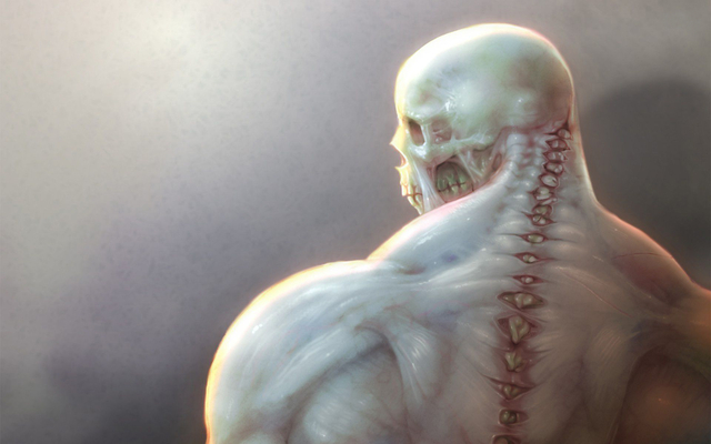 Обои 2026-04-15 №82624