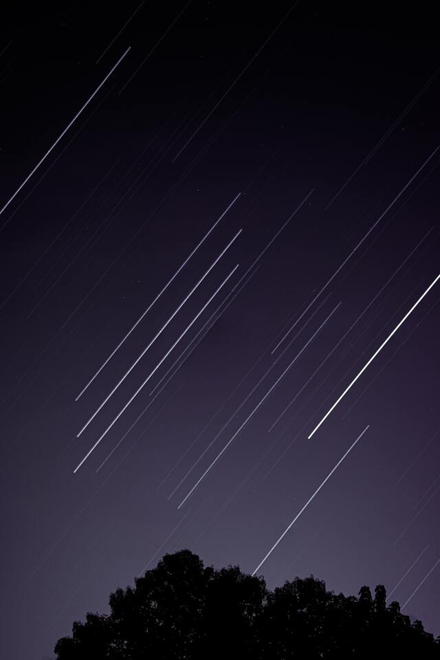 Обои 2026-04-16 №82695