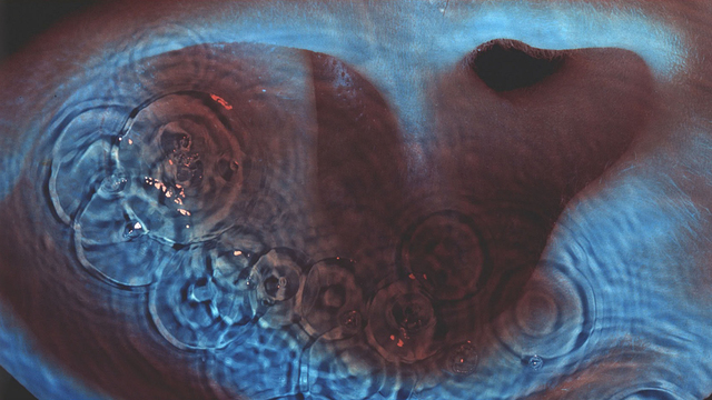 Обои 2026-04-17 №82732