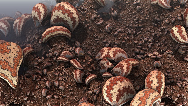 Обои 2026-04-18 №82785