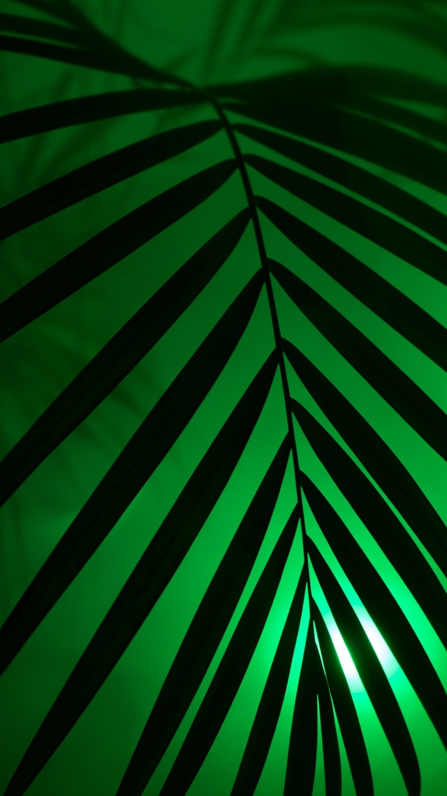 Обои 2026-04-19 №82818