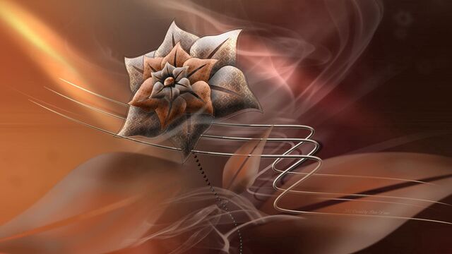 Обои 2026-04-21 №82885