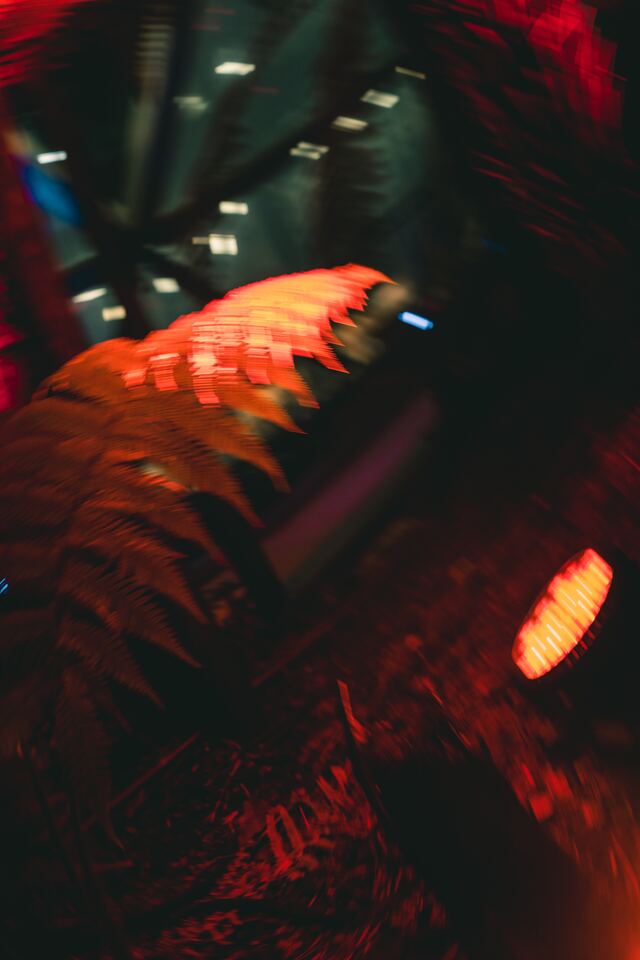 Обои 2026-04-22 №82922