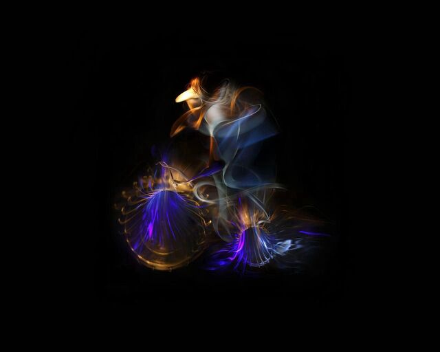 Обои 2026-04-24 №83021