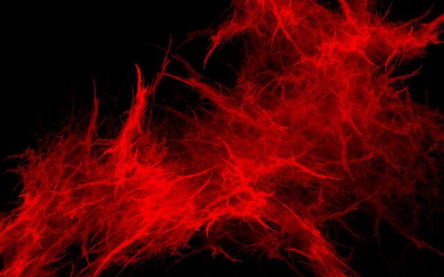 Обои 2026-04-25 №83058