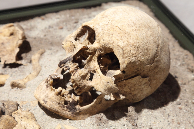 Обои 2026-04-27 №83114