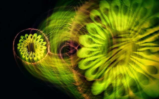 Обои 2026-04-29 №83208