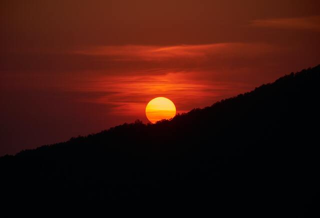 Обои 2026-04-29 №83215