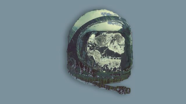 Обои 2026-05-18 №84035