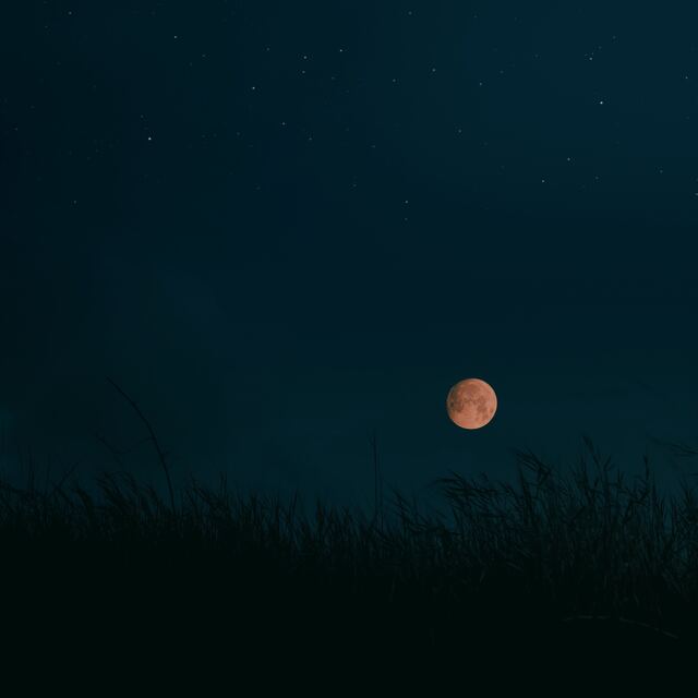 Обои 2026-05-26 №84388