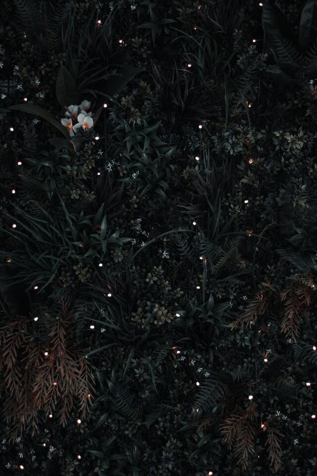 Обои 2026-06-11 №85038