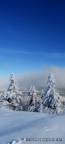 Обои 2024-11-15 №47492