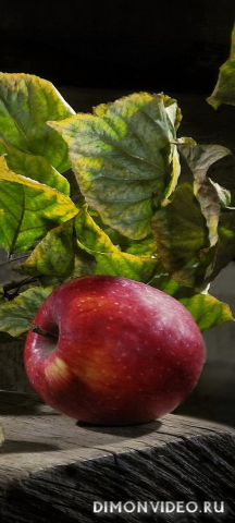 Обои 2026-04-04 №82151