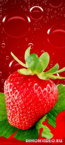 Обои 2026-04-04 №82152