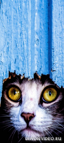 Обои 2026-04-24 №83012