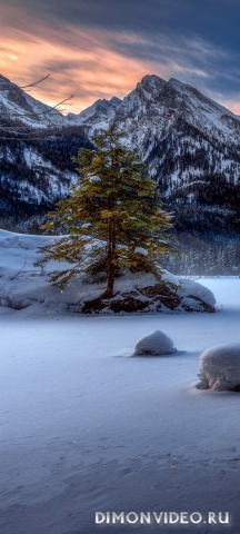 Обои 2026-03-31 №81986